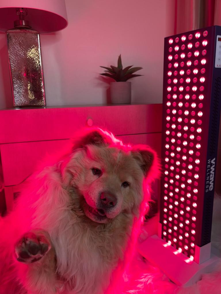 Silver Pro Boot Stand